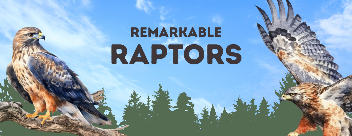 Remarkable Raptors 8/8/2026